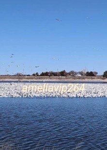 งาน​วีไอพี​ต่างประเทศ​ต่างประเทศ​ทั่วโลก​💯🌍