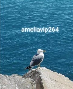 งาน​วีไอพี​ต่างประเทศ​ทั่วโลก​💯​ทักด่วน​✈️ โปรบินฟรี​🥳🥳