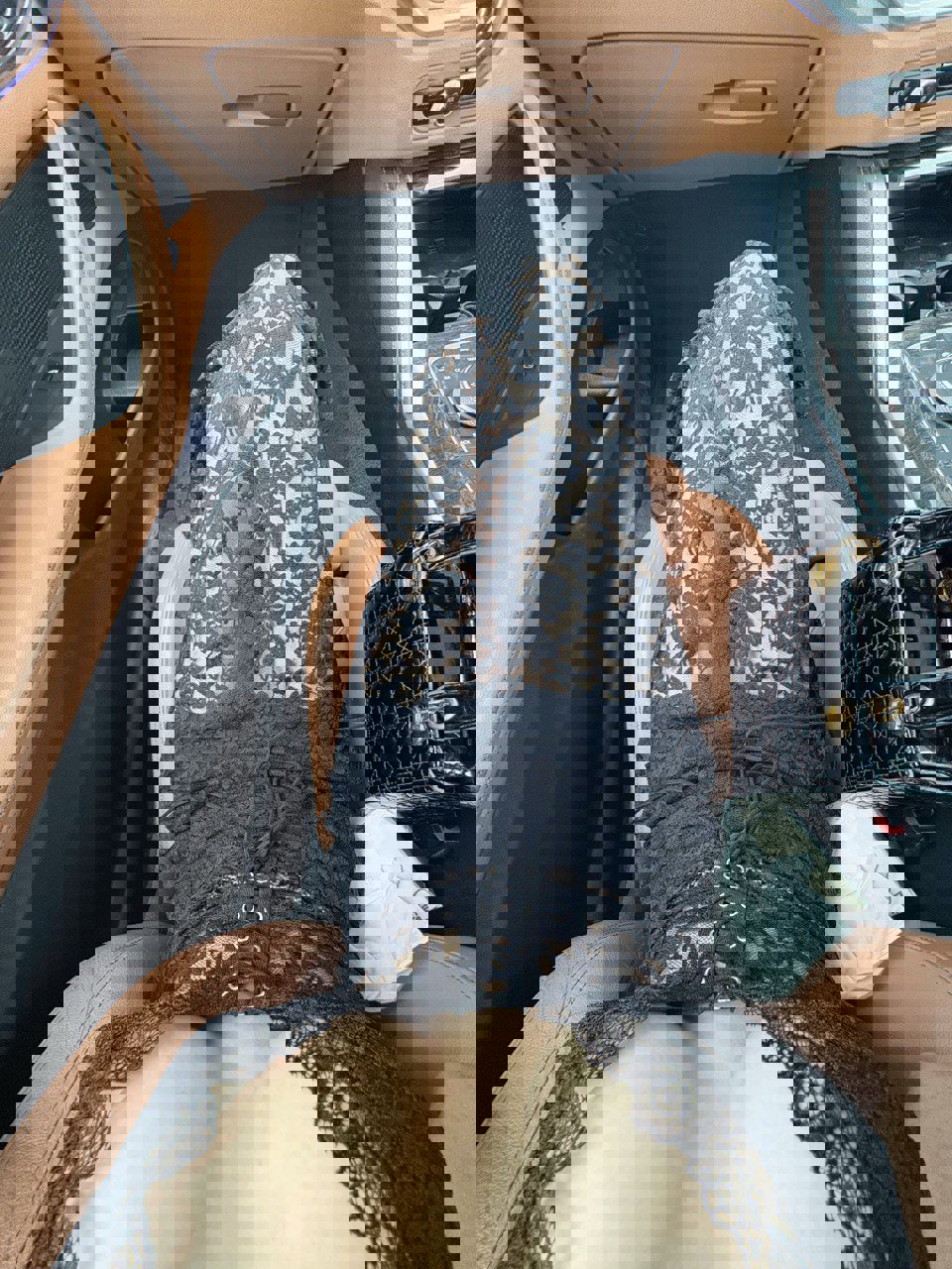 หาพี่ดูแลชั่วคราวค่ะ