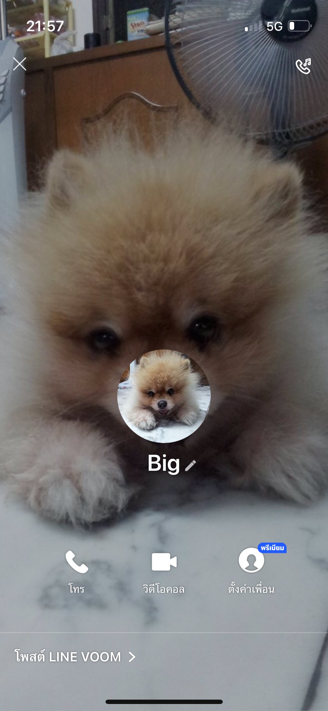 เตือนภัยแพร่เชื้อเริมชนิดที่2โซน ราชเทวี สยาม กรุงเทพ