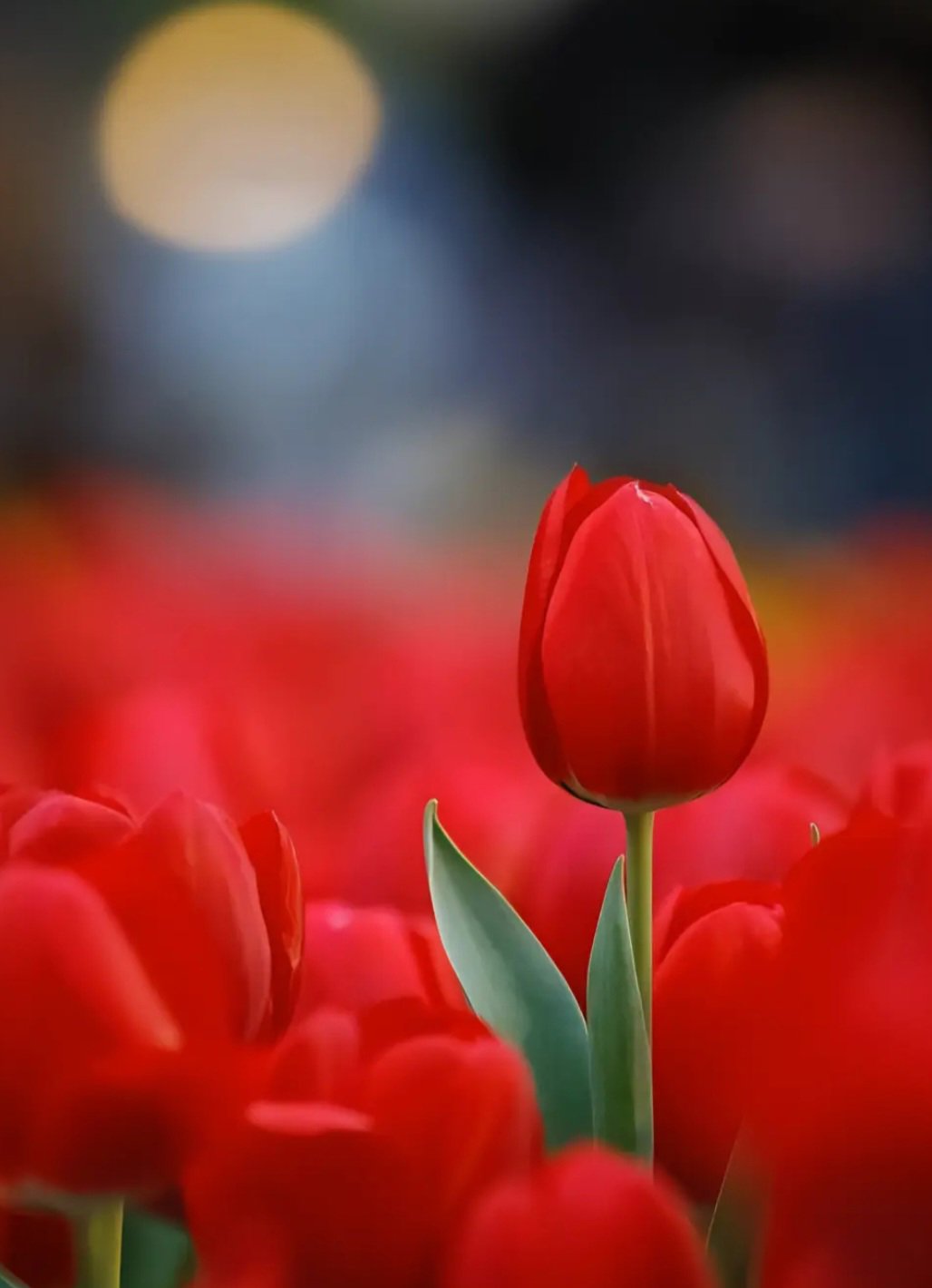 หาพี่ช่วยค่ะ5k