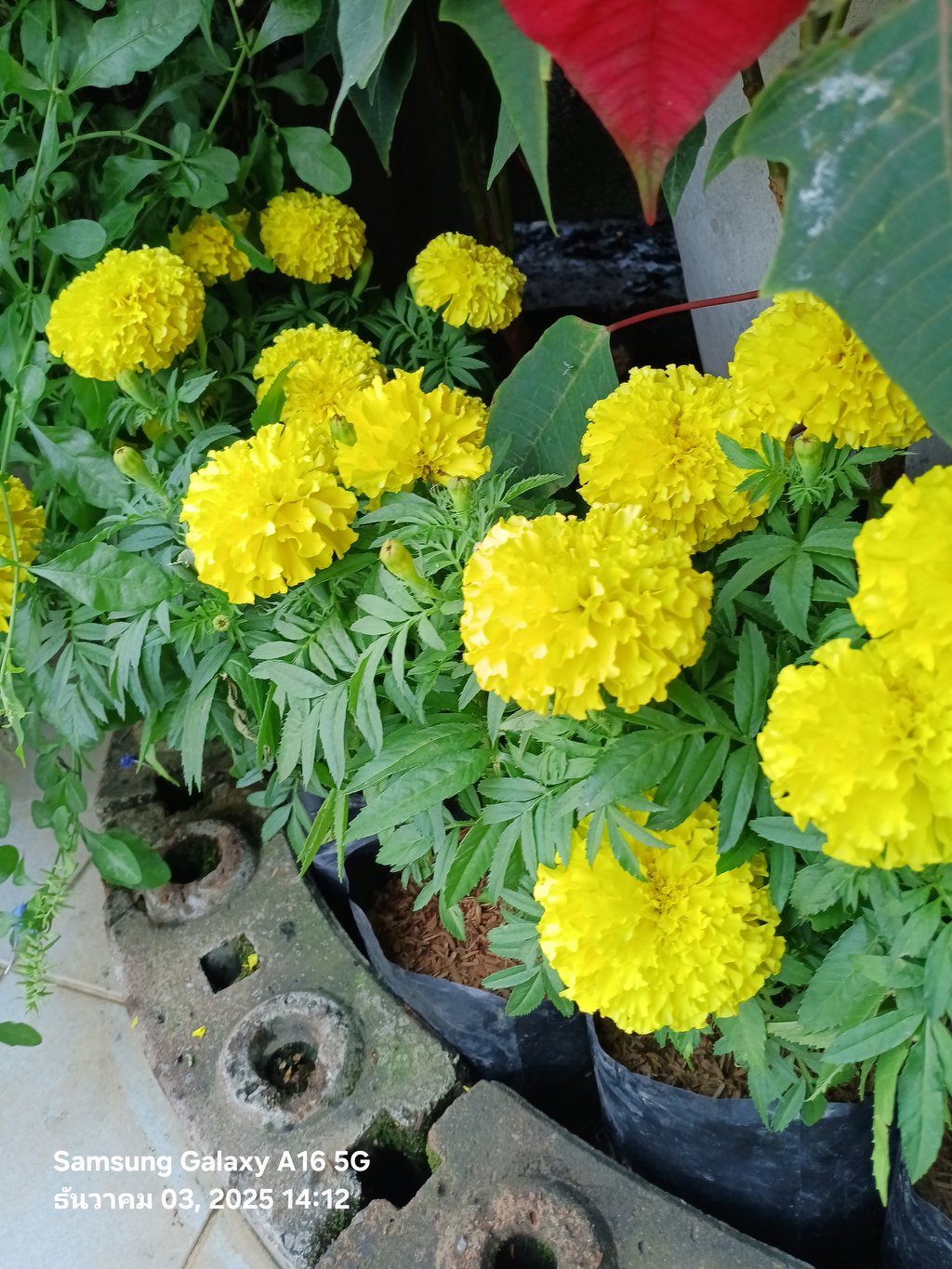 หาคนช่วยค่าใช้จ่าย