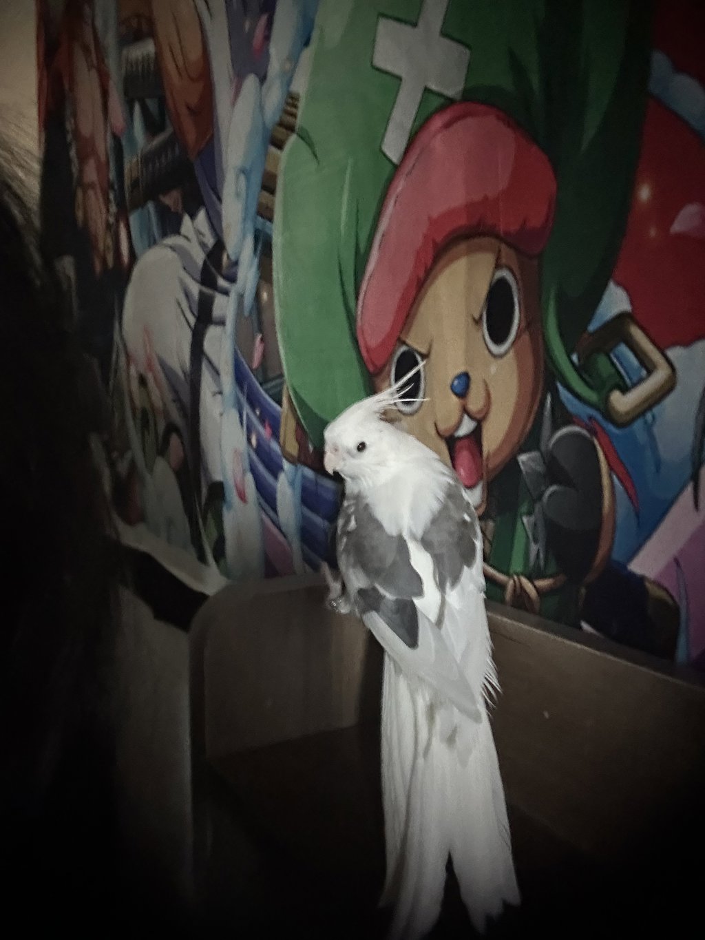 หนูตกงานค่ะ😭หาพี่ช่วย