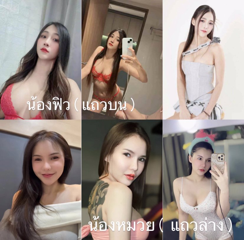 หาคนดูแล น้องหมวย ขาว หมวย สวย อึ๋ม 🤍🫶🏻🤟🏻🤤