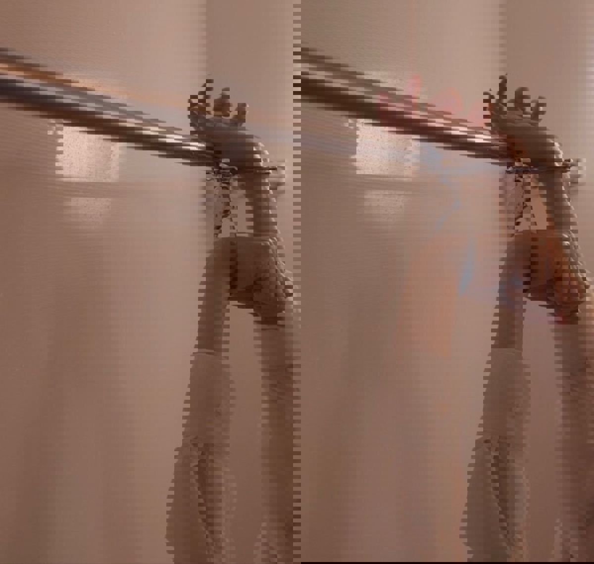 หาคนเลี้ยง ที่ดูดี ไม่แก่ไม่อ้วน ไปเที่ยวกลุ่มปิดด้วยได้