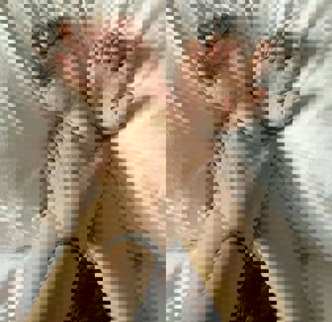 หาคนเลี้ยง ที่ดูดี ไม่แก่ไม่อ้วน ไปเที่ยวกลุ่มปิดด้วยได้