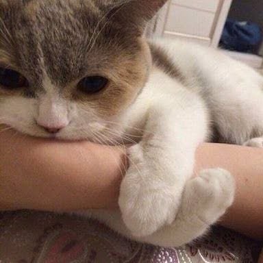 หาพี่ดูแลระยะยาว