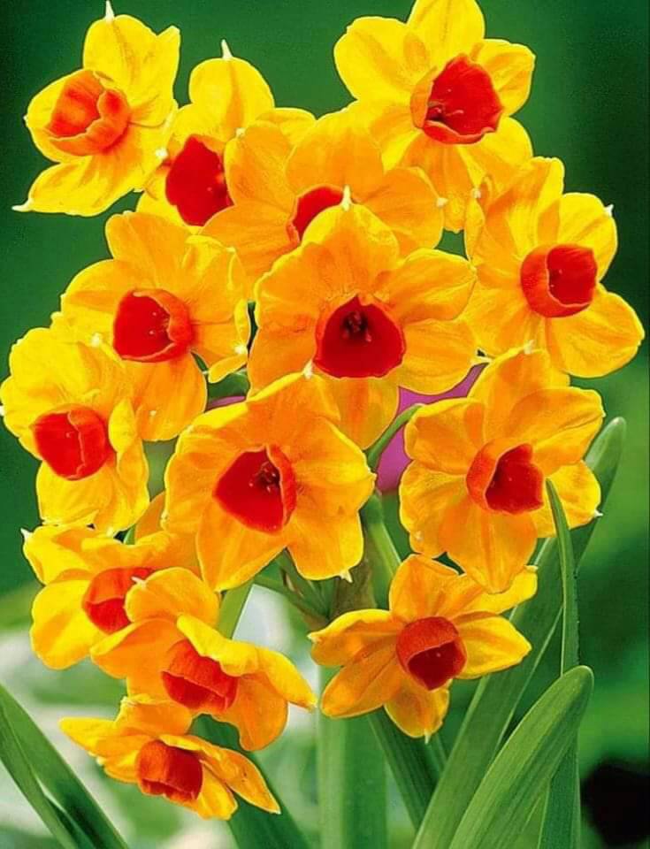 รับสมัครชายหนุ่มรักงานบริการ ร่วมงานออร์คิดกรุ๊ป ใกล้สนามบินดอนเมือง รังสิต ฟูลไทม์ พาร์ทไทม์ มีที่พัก ไลน์ chunklajambal