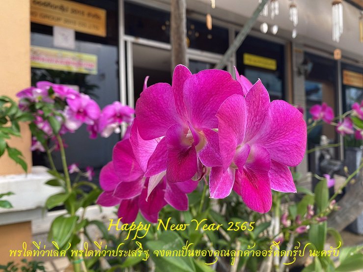 รับสมัครชายหนุ่มรักงานบริการ ร่วมงานออร์คิดกรุ๊ป ใกล้สนามบินดอนเมือง รังสิต ฟูลไทม์ พาร์ทไทม์ มีที่พัก ไลน์ chunklajambal