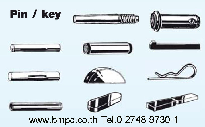 Dowel pin,Taper pin, Parallel pin, Grooved pin, Spring pin, Split pin, Cotter pin, Linch pin, Bright key, parllel key, Spiral pin