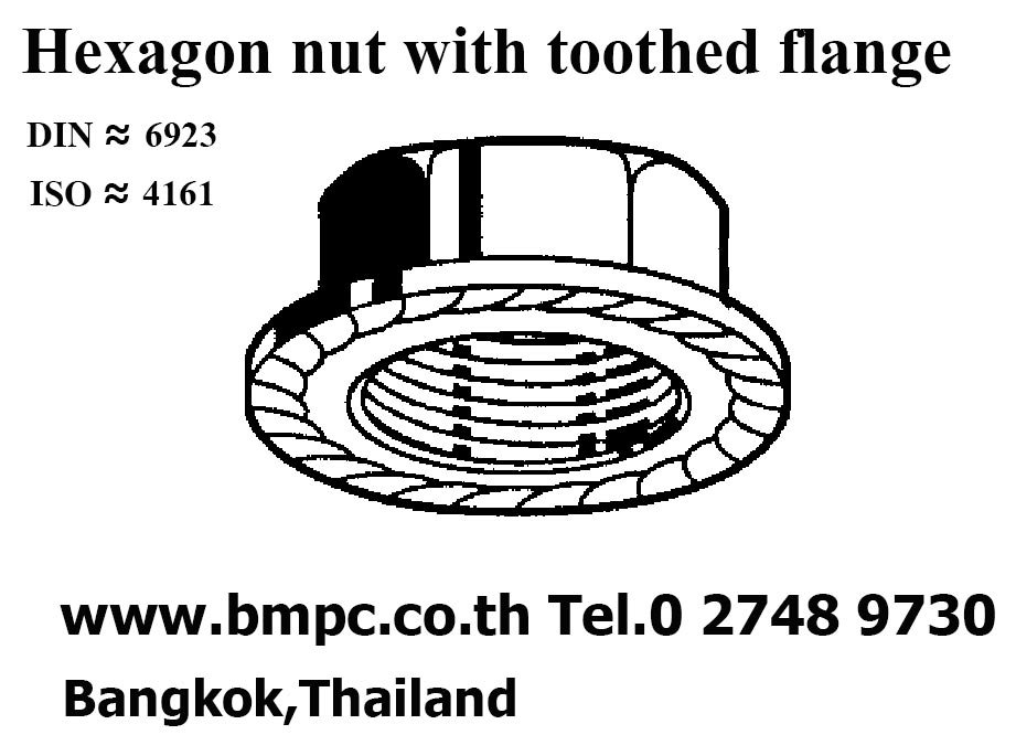 Self lock nut, Prevailing torque nut, Plastic insert nut, Jam lock nut nylon insert, Ribb lock nut