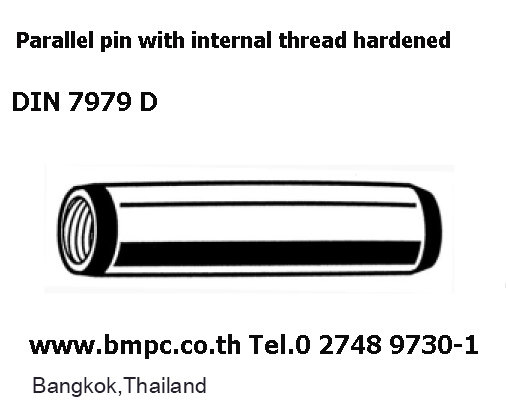 Parallel pin, pin with thread, สลักแบบมีเกลียวใน, Paralles with female thread