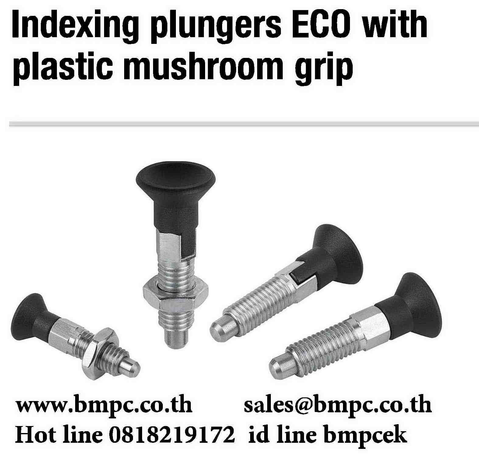 Locking bolt, Index plunger, Plunger with pin, สลักล๊อกตำแหน่ง, Plug indexing, Disc spring