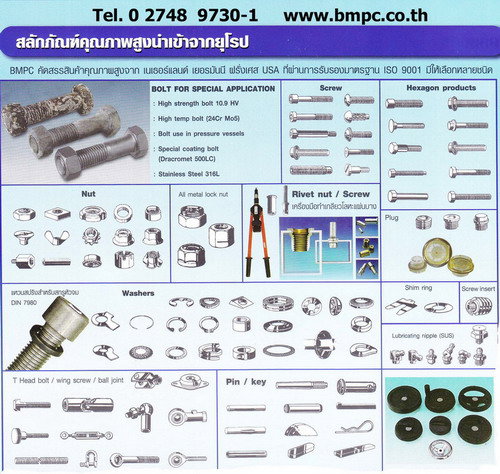 Shoulder screw, Set screw, screw plug, thin nut, lock nut, Castle nut, Locking disc spring, tab washer, e-ring, shim ring, bonded seal