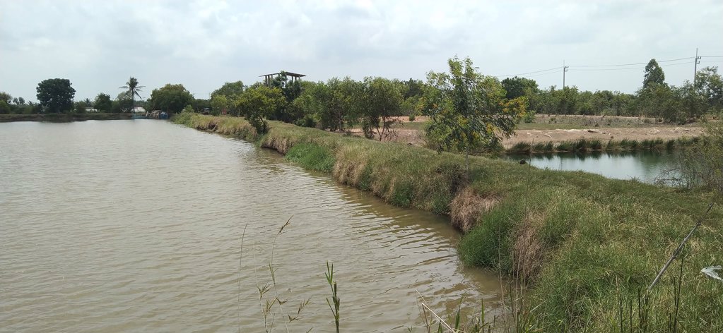 ขายที่ดินโฉนดครุฑแดง 171 ไร่ ต.หนองยาว อ. พนมสารคาม จ. ฉะเชิงเทรา