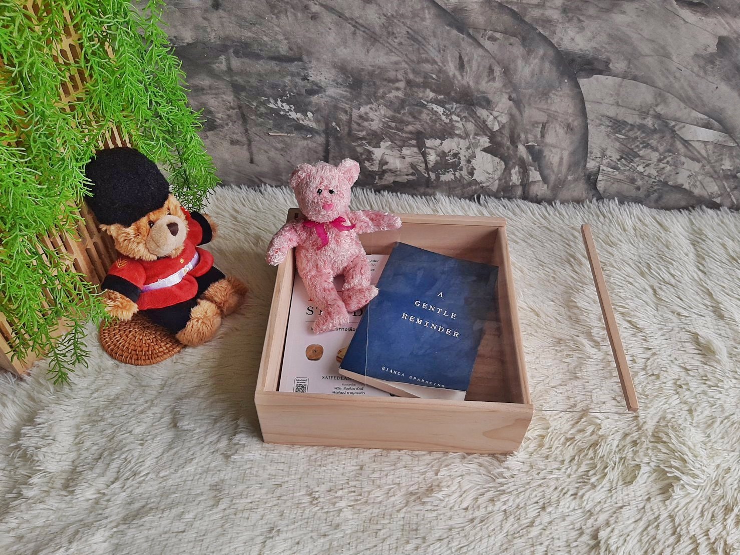 กล่องใส่หนังสือ 