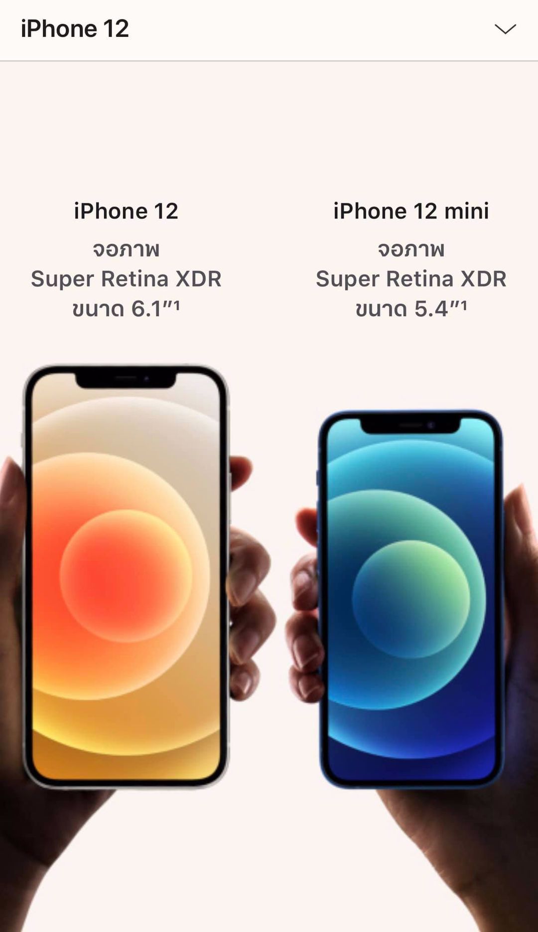 รับซื้อ iPhone 12 mini(เชียงใหม่)